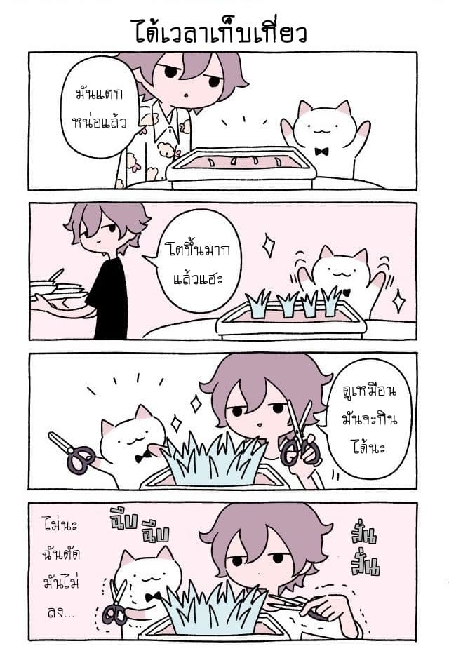Wonder Cat Kyuu-chan คิวจัง แมวมหัศจรรย์ page 3
