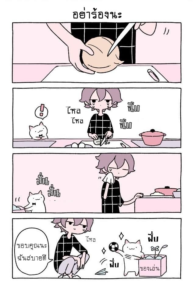 Wonder Cat Kyuu-chan คิวจัง แมวมหัศจรรย์ page 4