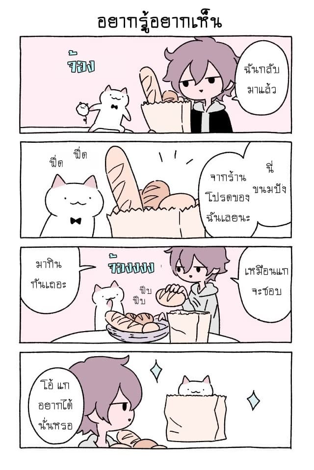 Wonder Cat Kyuu-chan คิวจัง แมวมหัศจรรย์ page 8