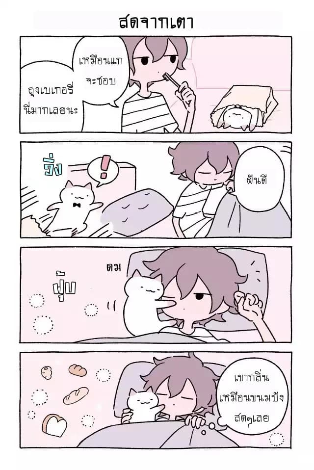 Wonder Cat Kyuu-chan คิวจัง แมวมหัศจรรย์ page 12