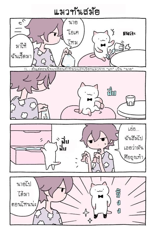 Wonder Cat Kyuu-chan คิวจัง แมวมหัศจรรย์ page 3