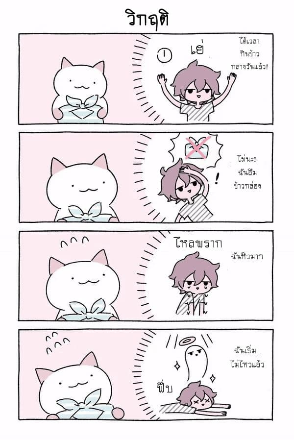 Wonder Cat Kyuu-chan คิวจัง แมวมหัศจรรย์ page 12