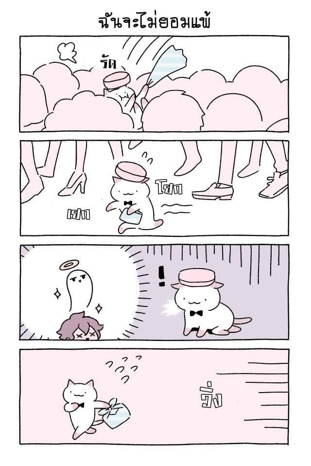 Wonder Cat Kyuu-chan คิวจัง แมวมหัศจรรย์ page 5