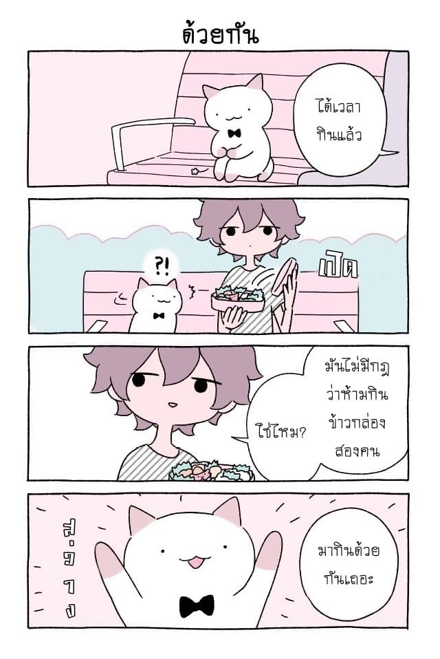 Wonder Cat Kyuu-chan คิวจัง แมวมหัศจรรย์ page 3