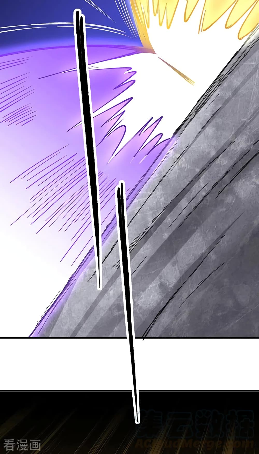 WuDao Du Zun page 8