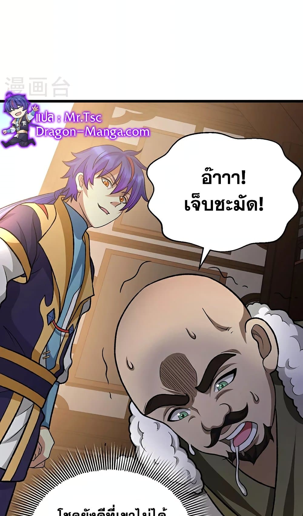 WuDao Du Zun page 13