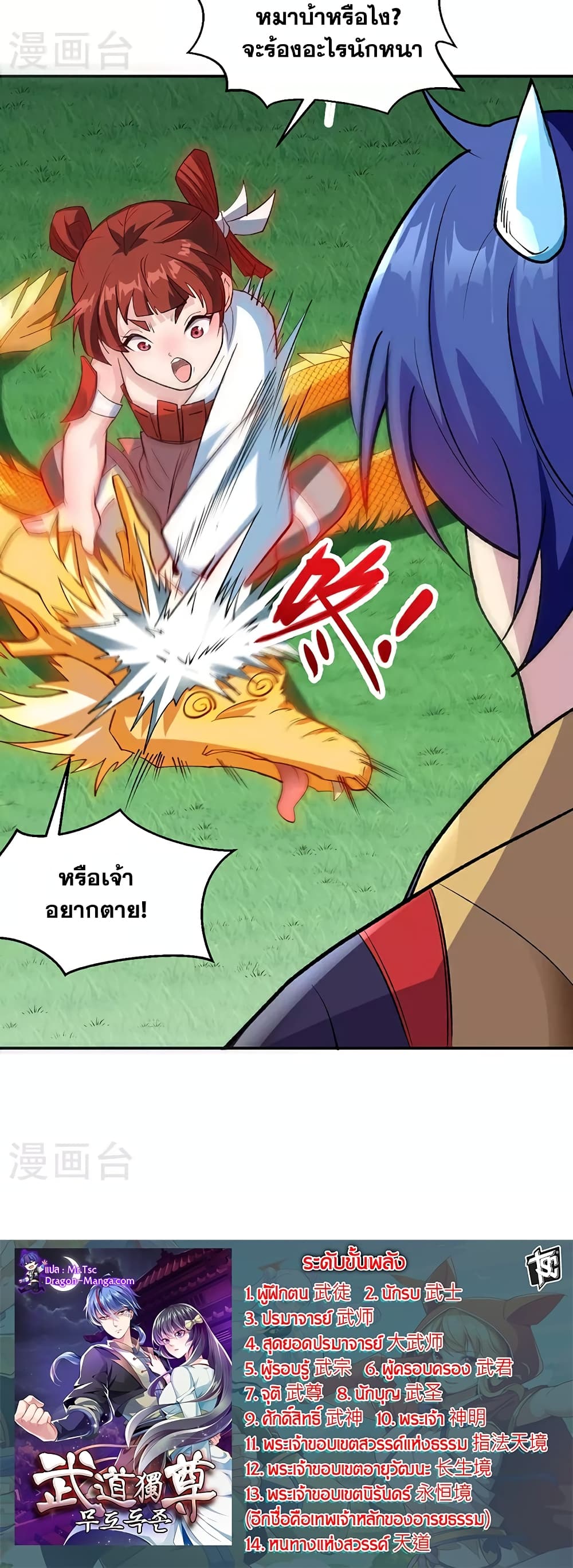 WuDao Du Zun page 30