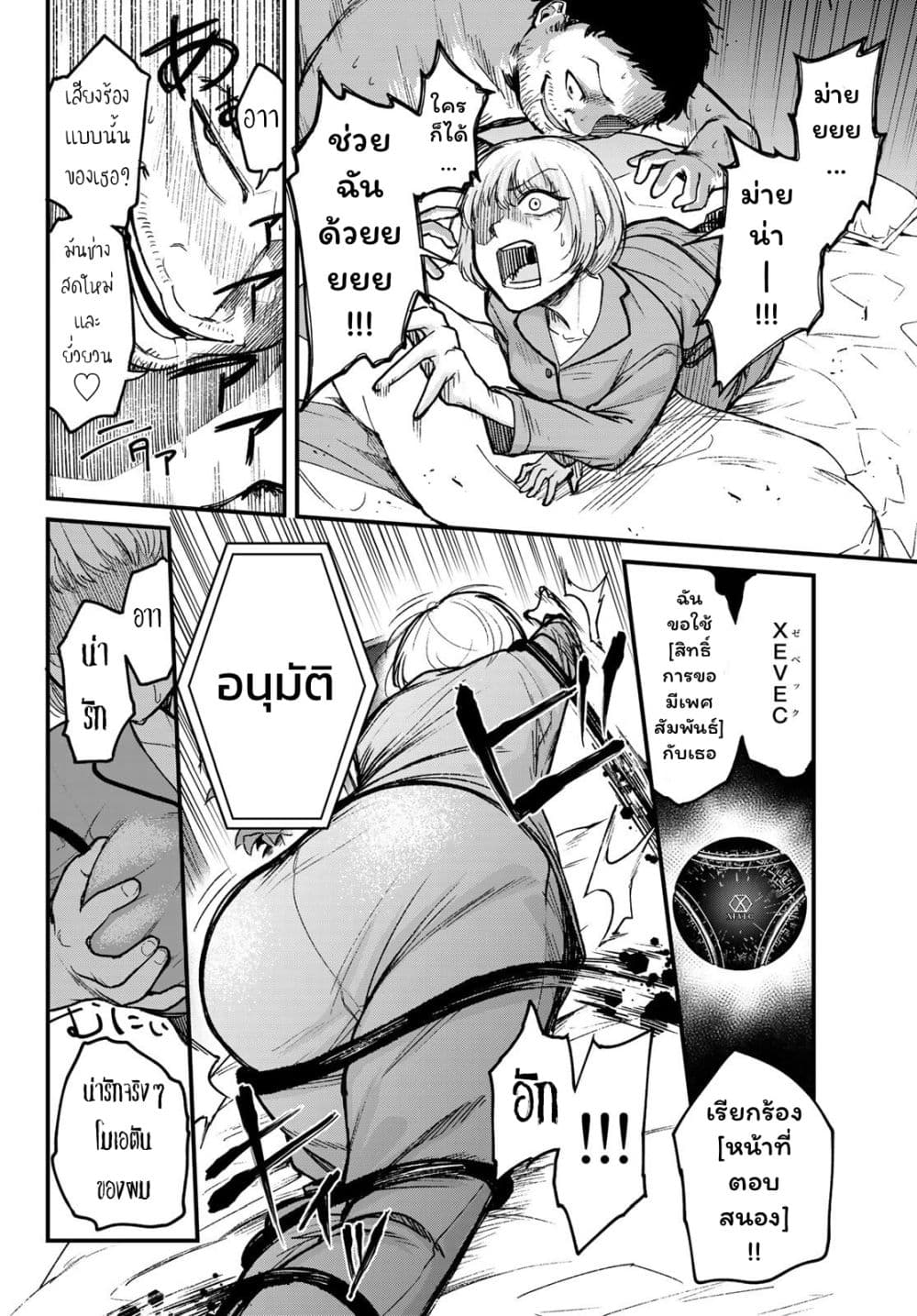 XEVEC page 27