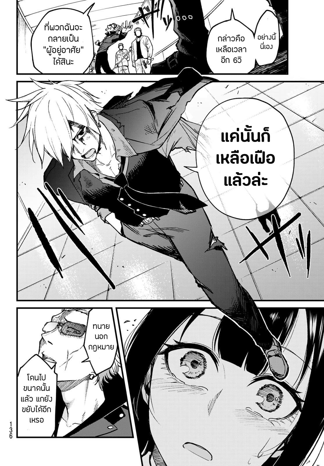 XEVEC page 13
