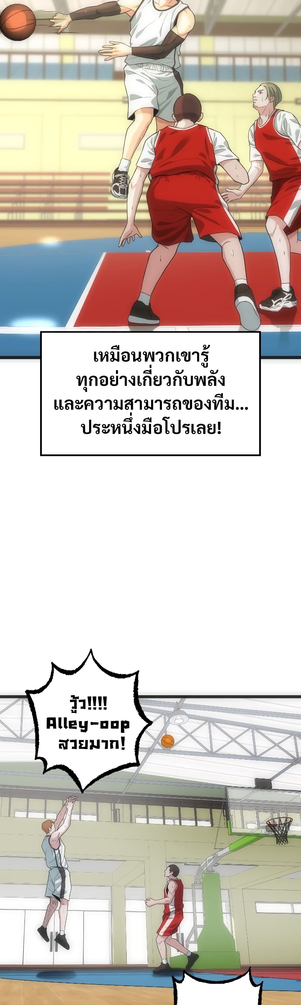 Y13 page 42