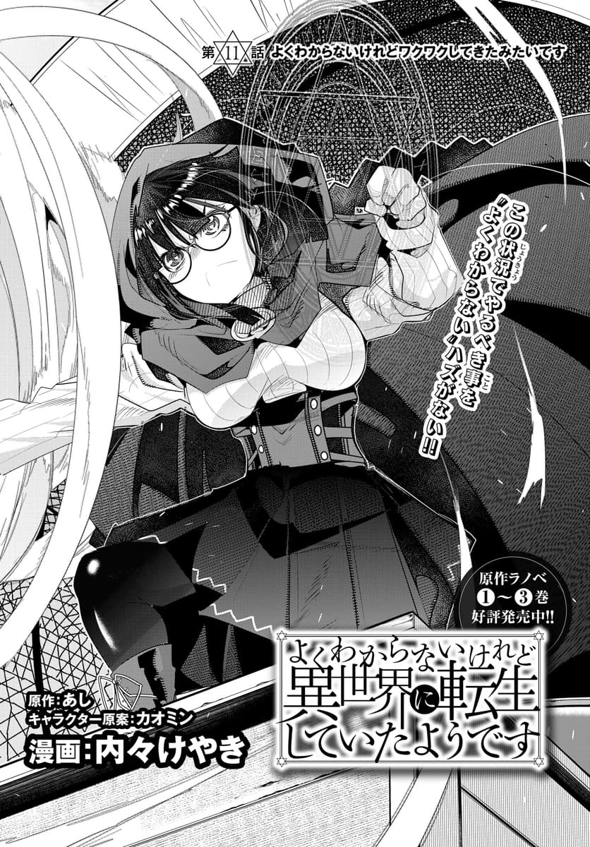 Yoku Wakaranai keredo Isekai ni Tensei Shiteita You Desu page 4