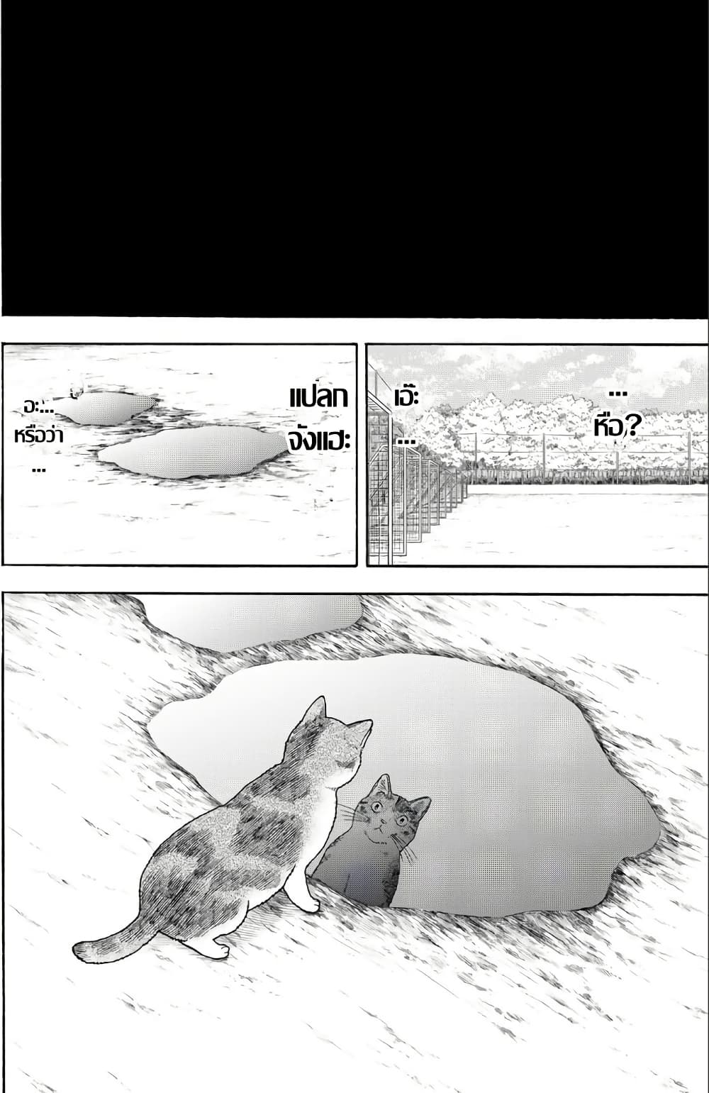 Yuzuki Becomes A Cat page 10