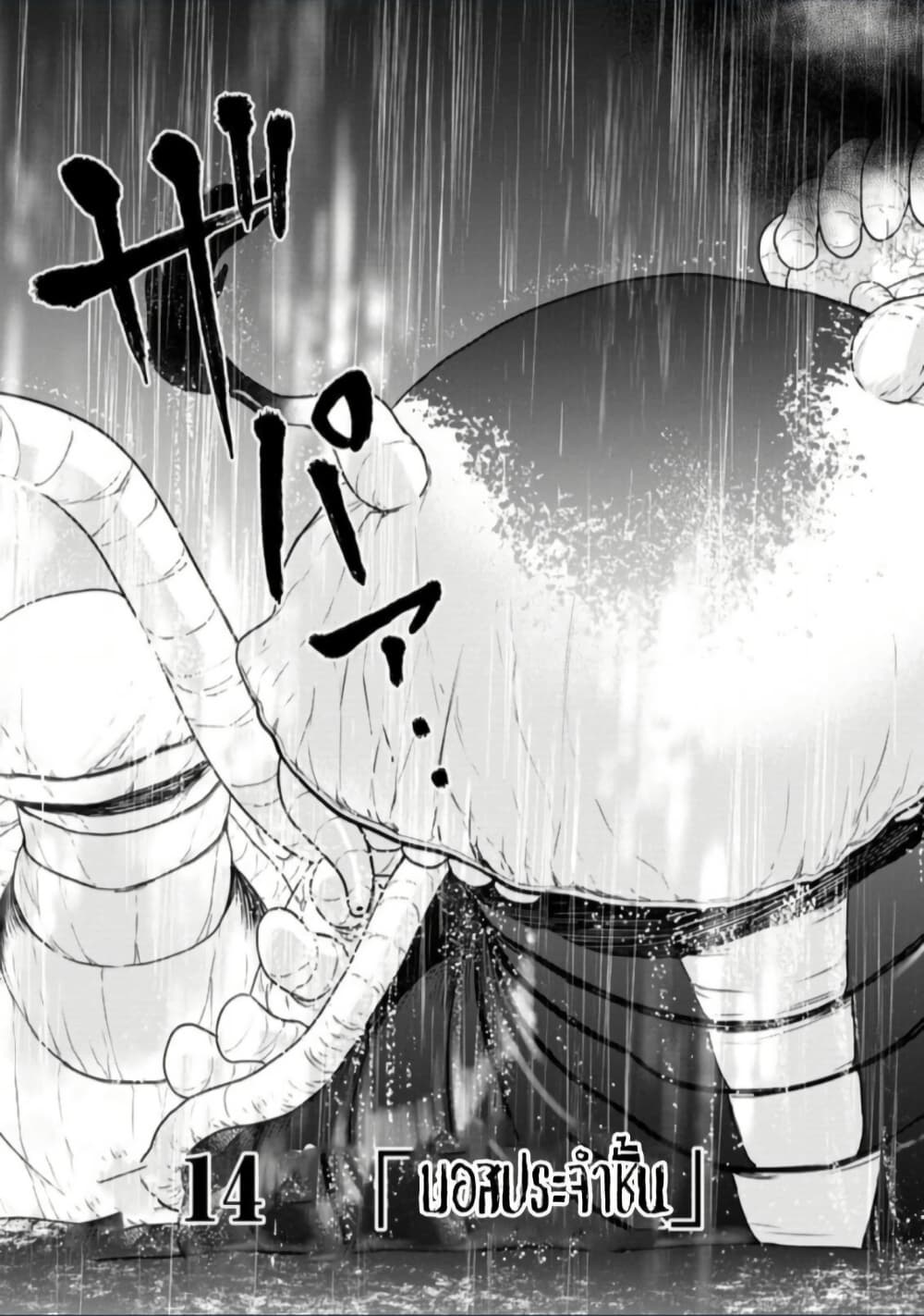 Zatsuyou Fuyo Jutsushi ga Jibun no Saikyo ni Kizuku page 3