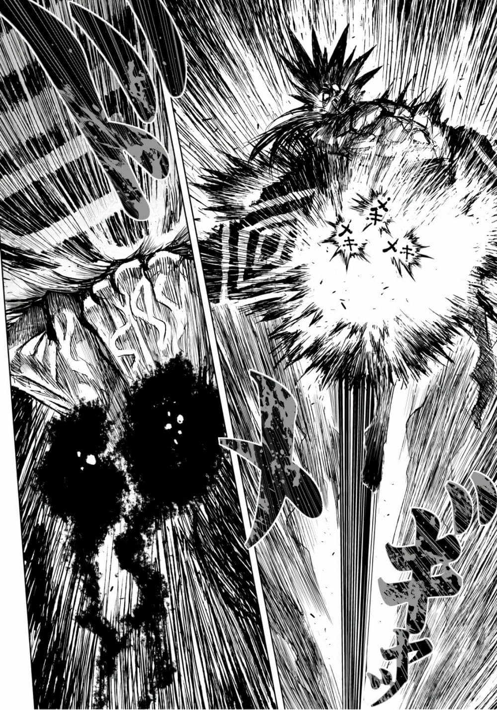 ZINGNIZE page 5