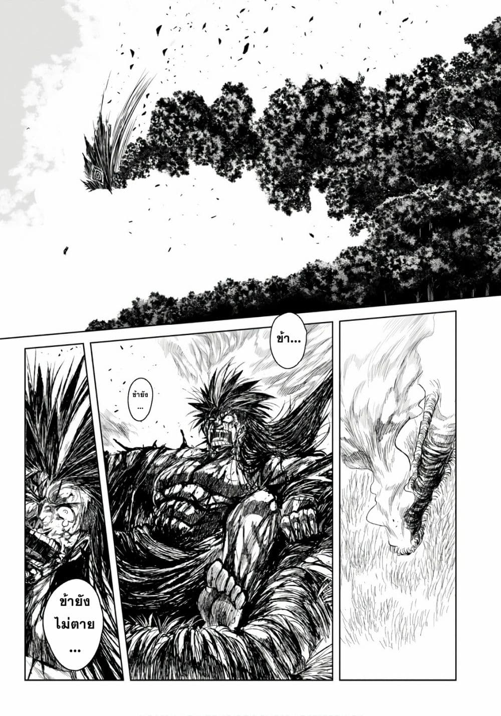 ZINGNIZE page 10