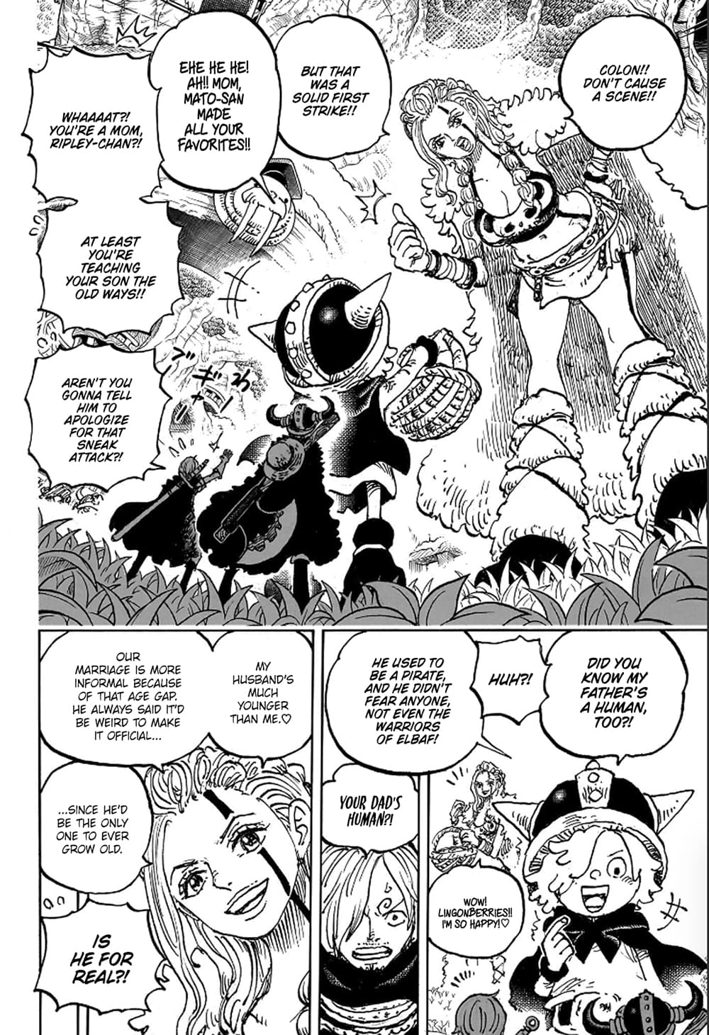 One Piece page 9