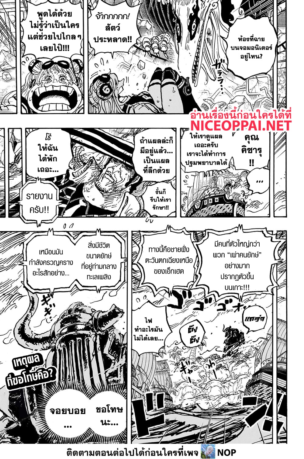 One Piece page 17