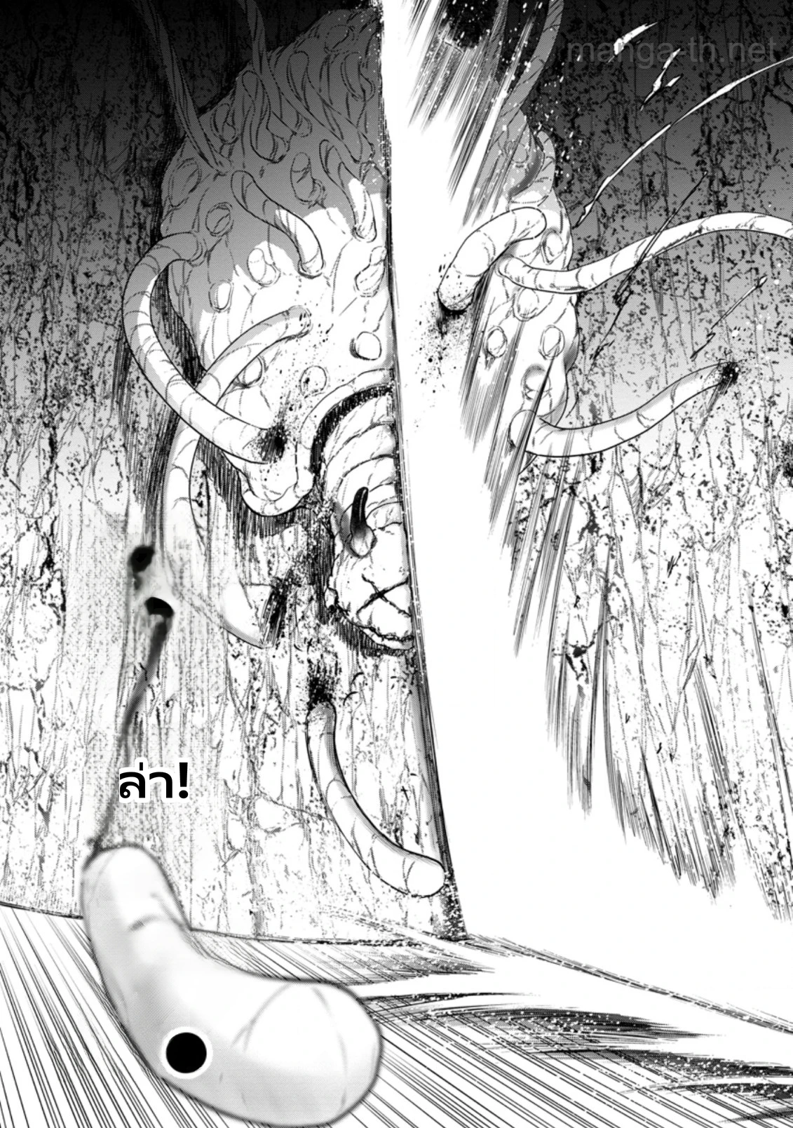 Zatsuyou Fuyojutsushi ga Jibun no Saikyou ni Kidzuku made page 3