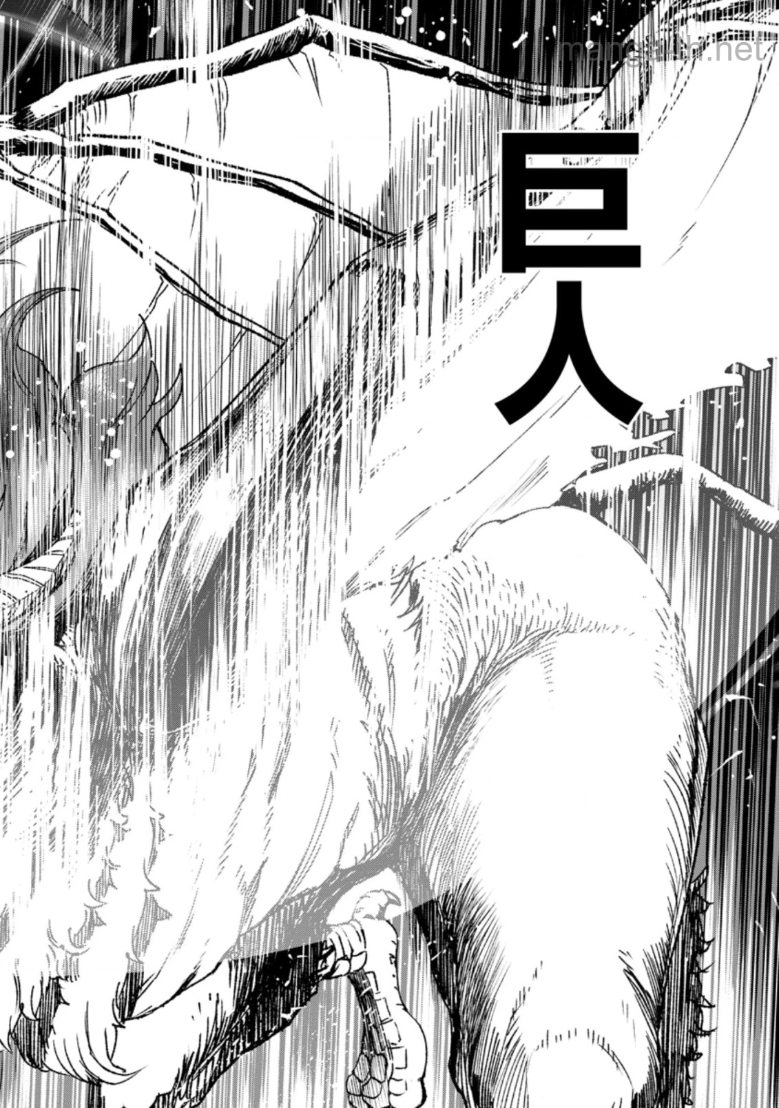 Zatsuyou Fuyojutsushi ga Jibun no Saikyou ni Kidzuku made page 4