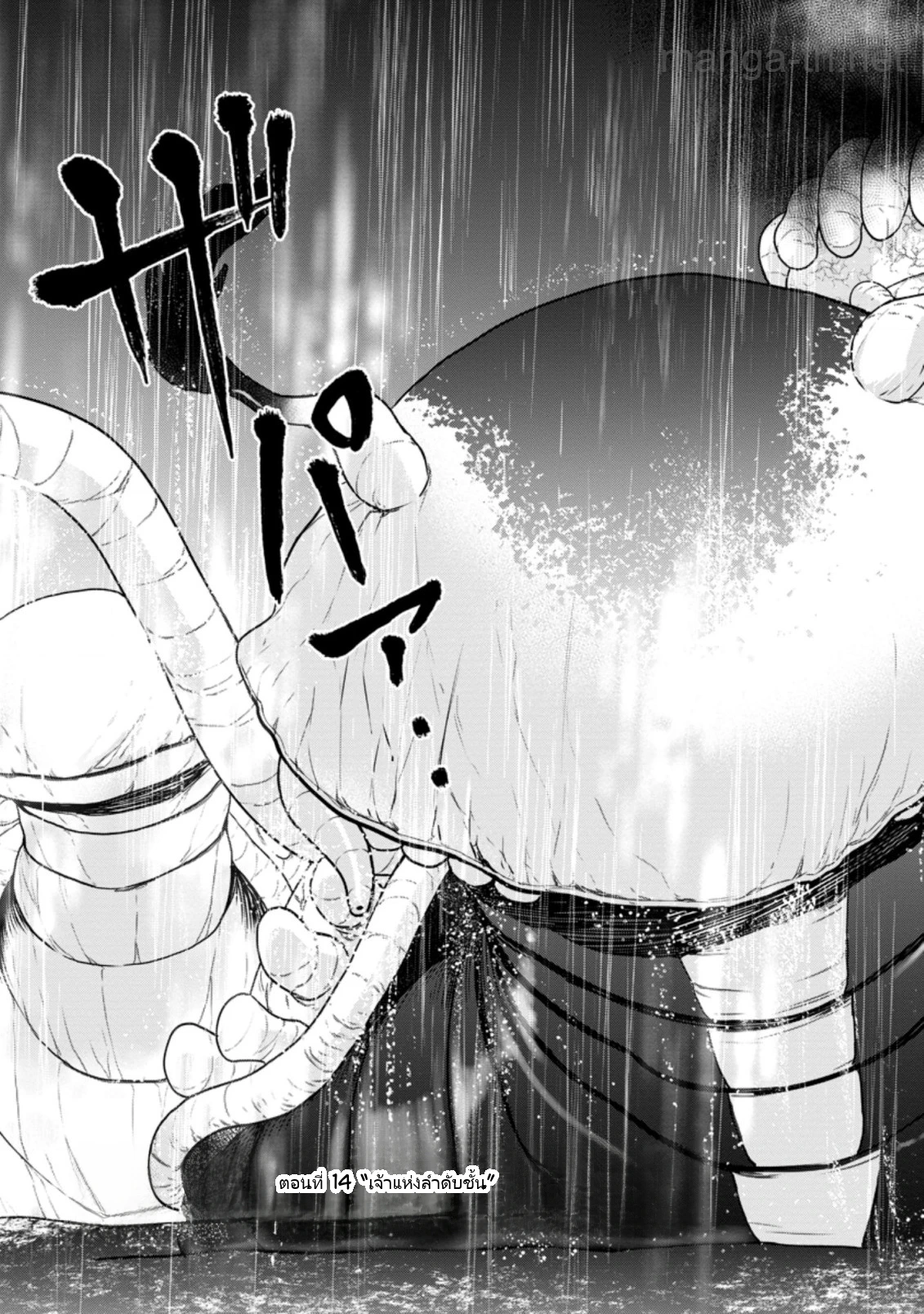 Zatsuyou Fuyojutsushi ga Jibun no Saikyou ni Kidzuku made page 3