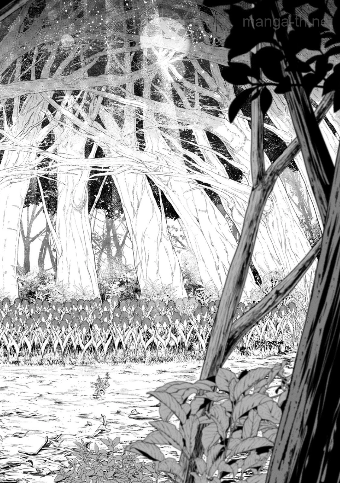 Zatsuyou Fuyojutsushi ga Jibun no Saikyou ni Kidzuku made page 6